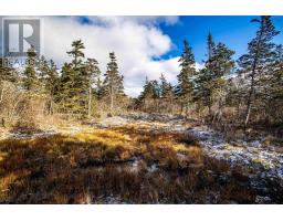 2022a Peajack Road, Westport, NS B0V1H0 Photo 27