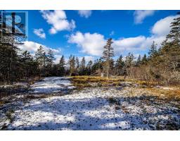 2022a Peajack Road, Westport, NS B0V1H0 Photo 28