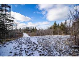2022a Peajack Road, Westport, NS B0V1H0 Photo 29