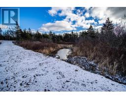 2022a Peajack Road, Westport, NS B0V1H0 Photo 31
