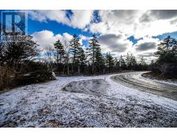 2022a Peajack Road, Westport, NS B0V1H0 Photo 34