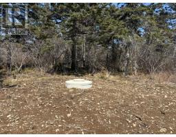 2022a Peajack Road, Westport, NS B0V1H0 Photo 8