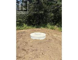 2022a Peajack Road, Westport, NS B0V1H0 Photo 9