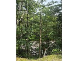 Highway 103, Sable River, NS B0T1W0 Photo 19