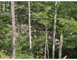 Highway 103, Sable River, NS B0T1W0 Photo 15