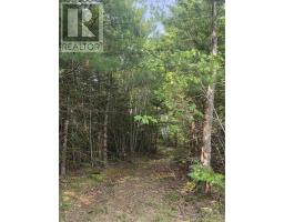 Highway 103, Sable River, NS B0T1W0 Photo 11