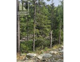 Highway 103, Sable River, NS B0T1W0 Photo 12