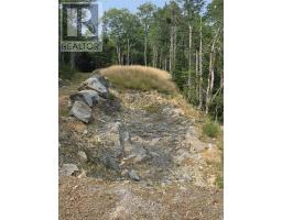 Highway 103, Sable River, NS B0T1W0 Photo 10