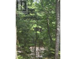 Highway 103, Sable River, NS B0T1W0 Photo 18