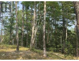 Highway 103, Sable River, NS B0T1W0 Photo 8