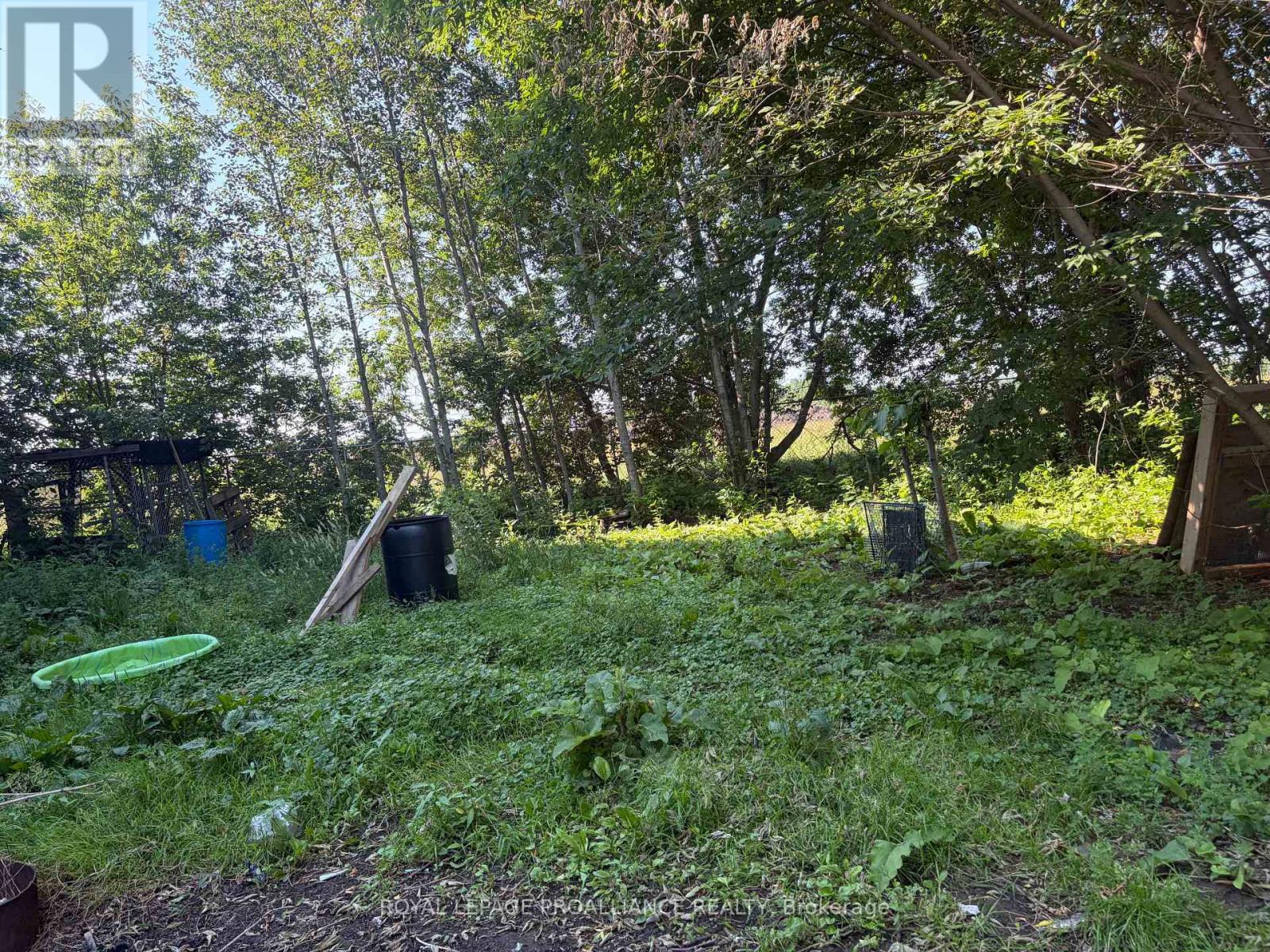 15650 COUNTY 43 ROAD - Image 17