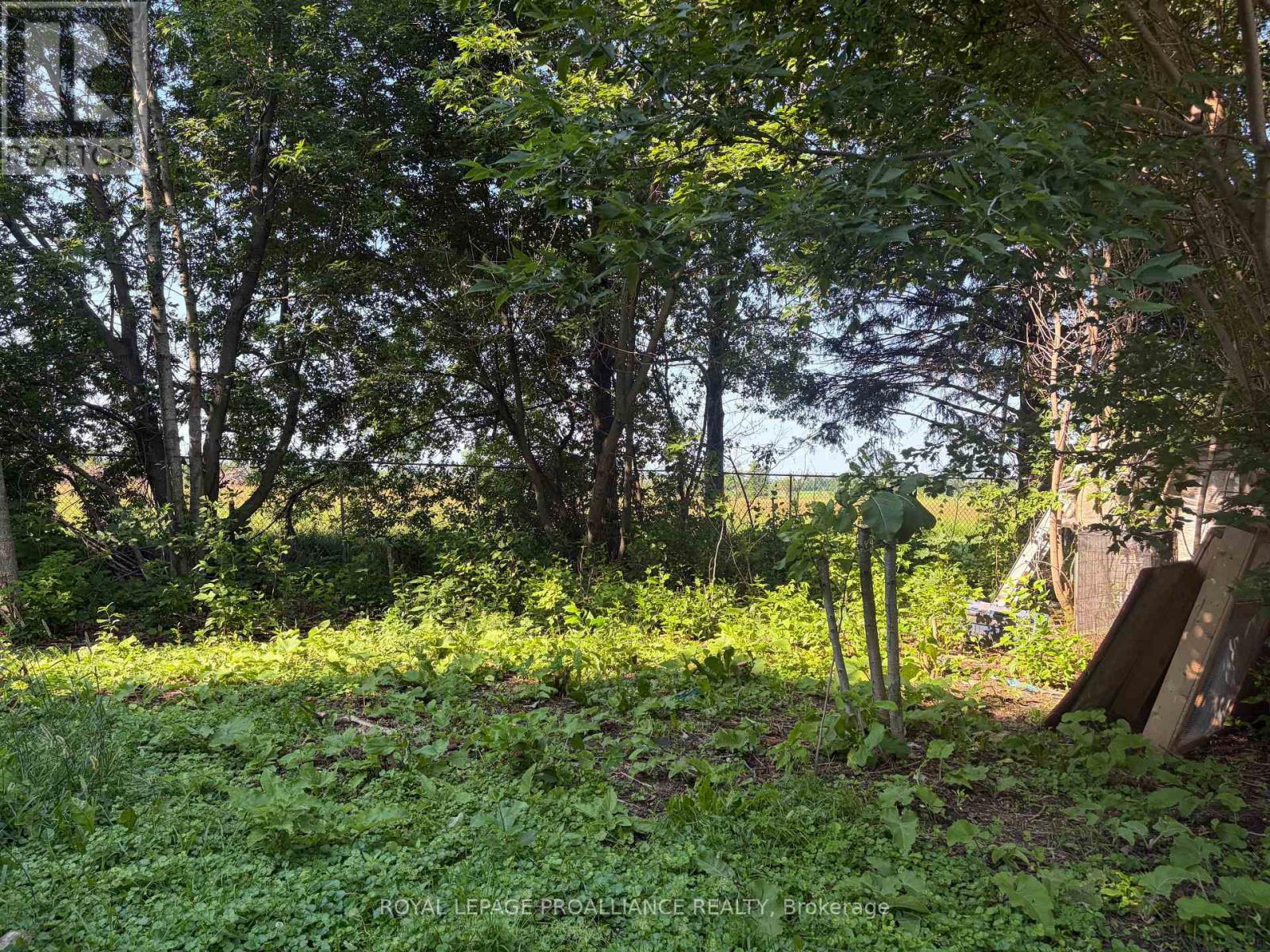 15650 COUNTY 43 ROAD - Image 18