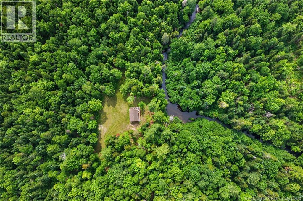 1391 Tweedie brook - 4