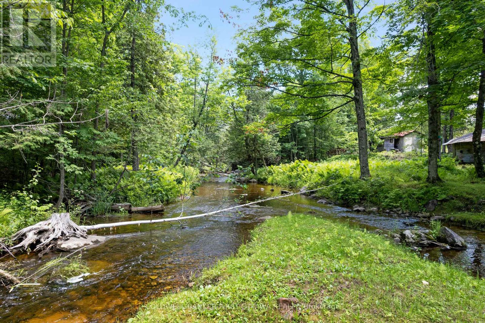 294 LAVANT MILL ROAD - 37