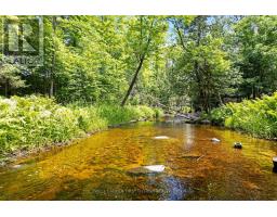 294 Lavant Mill Road, Lanark Highlands, ON K0G1M0 Photo 38