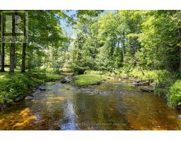294 Lavant Mill Road, Lanark Highlands, ON K0G1M0 Photo 39