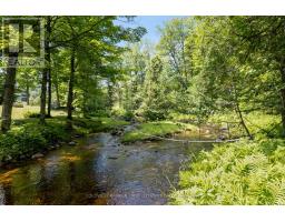 294 Lavant Mill Road, Lanark Highlands, ON K0G1M0 Photo 40