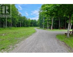 507 French Settlement Road, Tweed), ON K0K3J0 Photo 46