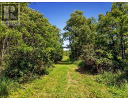 Land At 520 North Bethesda Road, Alnwick/haldimand, ON K0K1C0 Photo 10