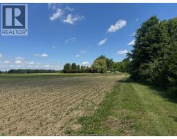 9773 9th Concession Rd., Essex, ON N8M2X5 Photo 37