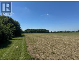 9773 9th Concession Rd., Essex, ON N8M2X5 Photo 35