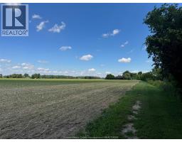 9773 9th Concession Rd., Essex, ON N8M2X5 Photo 38