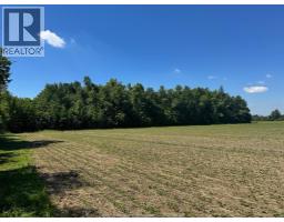 9773 9th Concession Rd., Essex, ON N8M2X5 Photo 36