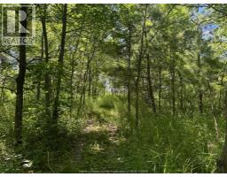 9773 9th Concession Rd., Essex, ON N8M2X5 Photo 41