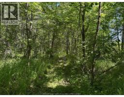 9773 9th Concession Rd., Essex, ON N8M2X5 Photo 42