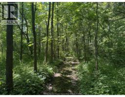 9773 9th Concession Rd., Essex, ON N8M2X5 Photo 40