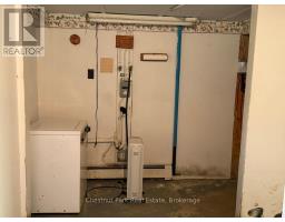 173 Midlothian Road, Ryerson, ON P0A1C0 Photo 38