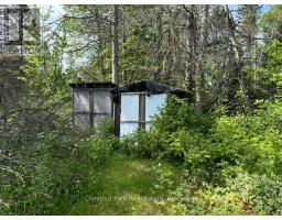 173 Midlothian Road, Ryerson, ON P0A1C0 Photo 42