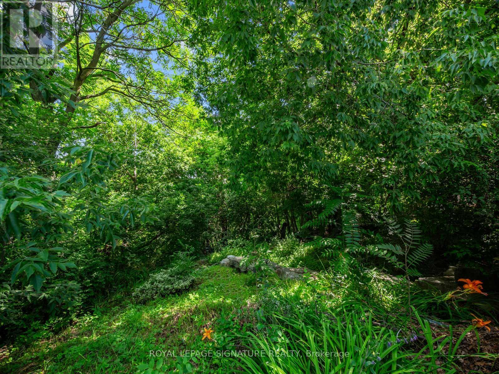 511 DONLANDS AVENUE - Image 35