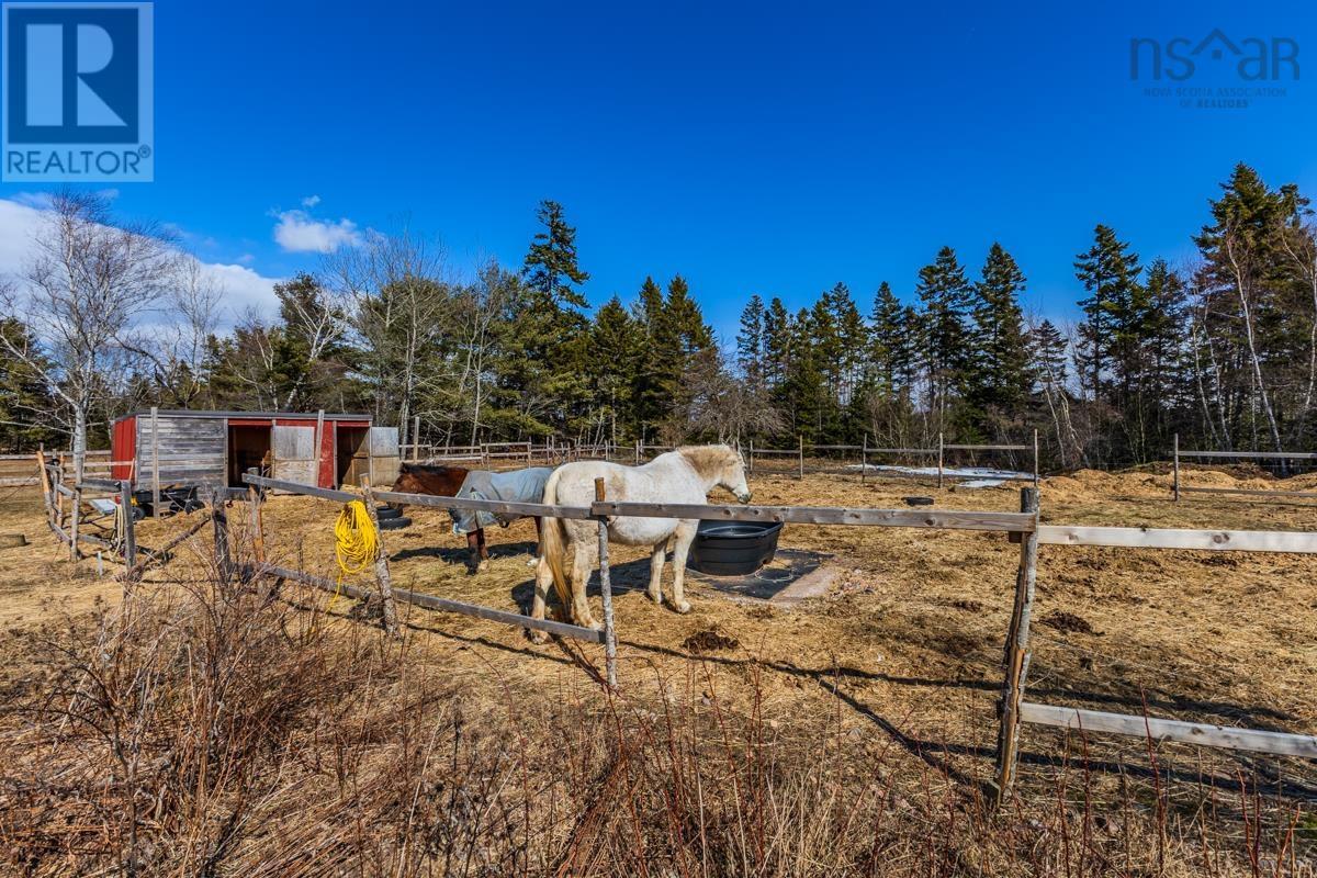 239 LITTLE DYKE Road - 36
