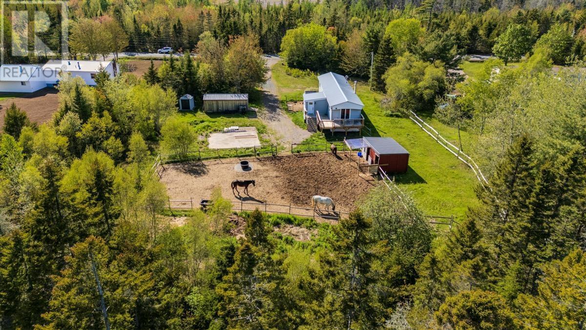 239 LITTLE DYKE Road - 39