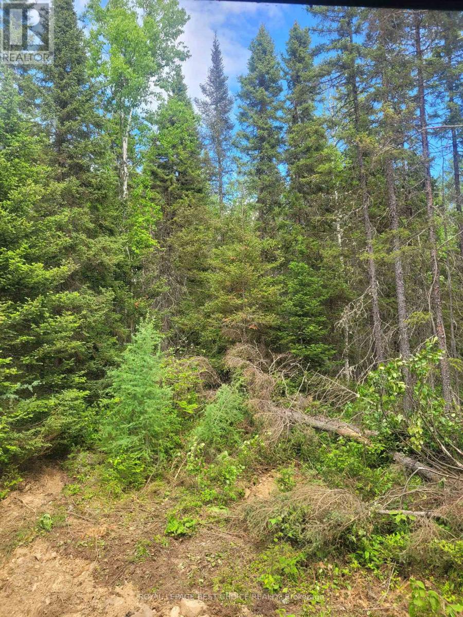 10593,10594,10595 MCGARRY TWP - 13