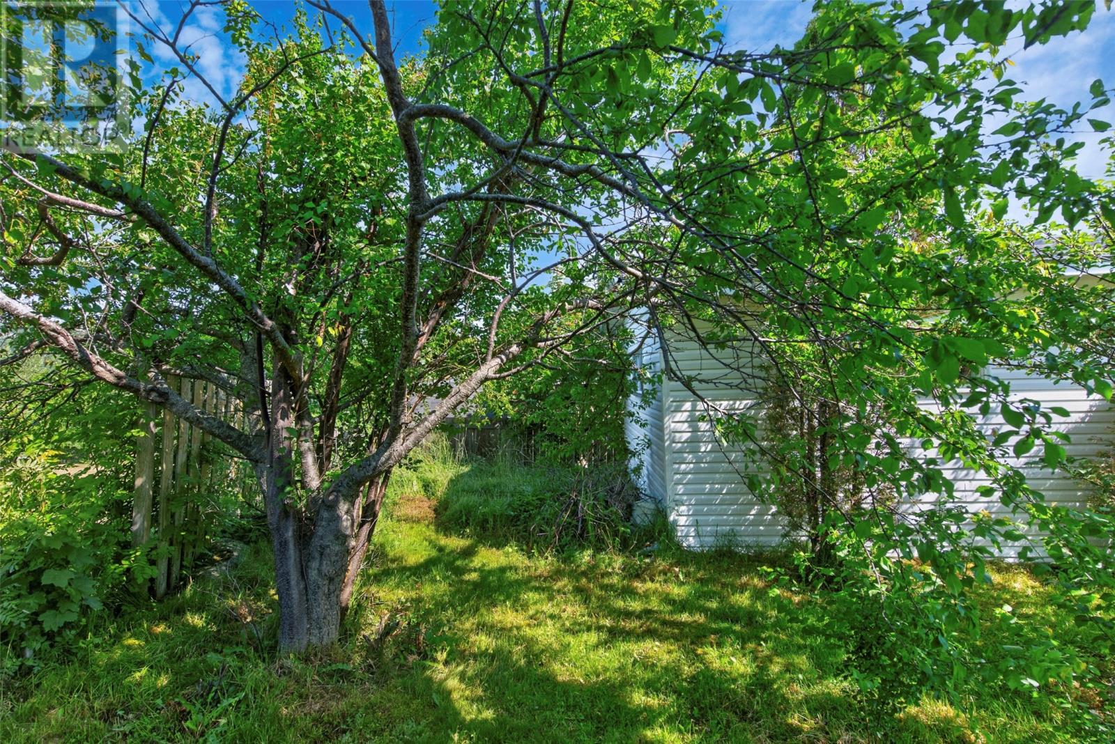 7 Leslie Street - 16