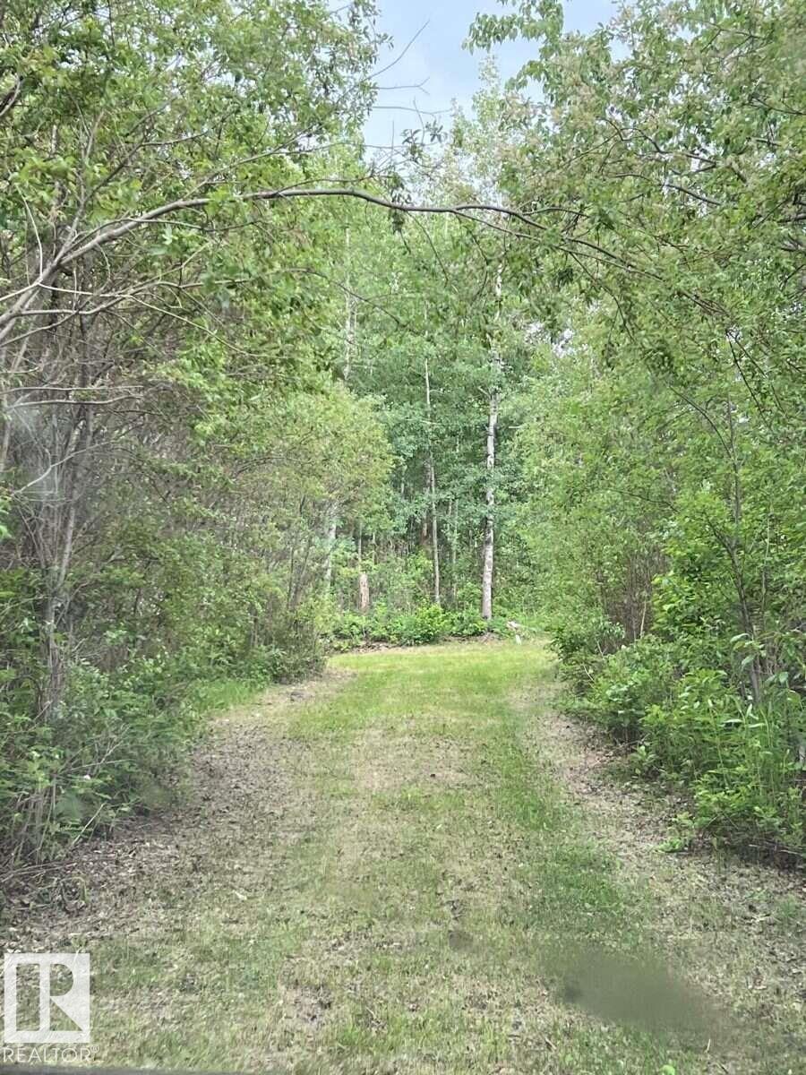 319 23229 Hwy 651 - Photo 6