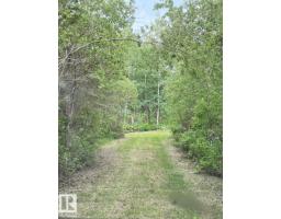 #319 23229 Hwy 651, Rural Sturgeon County, AB T0A2R0 Photo 6
