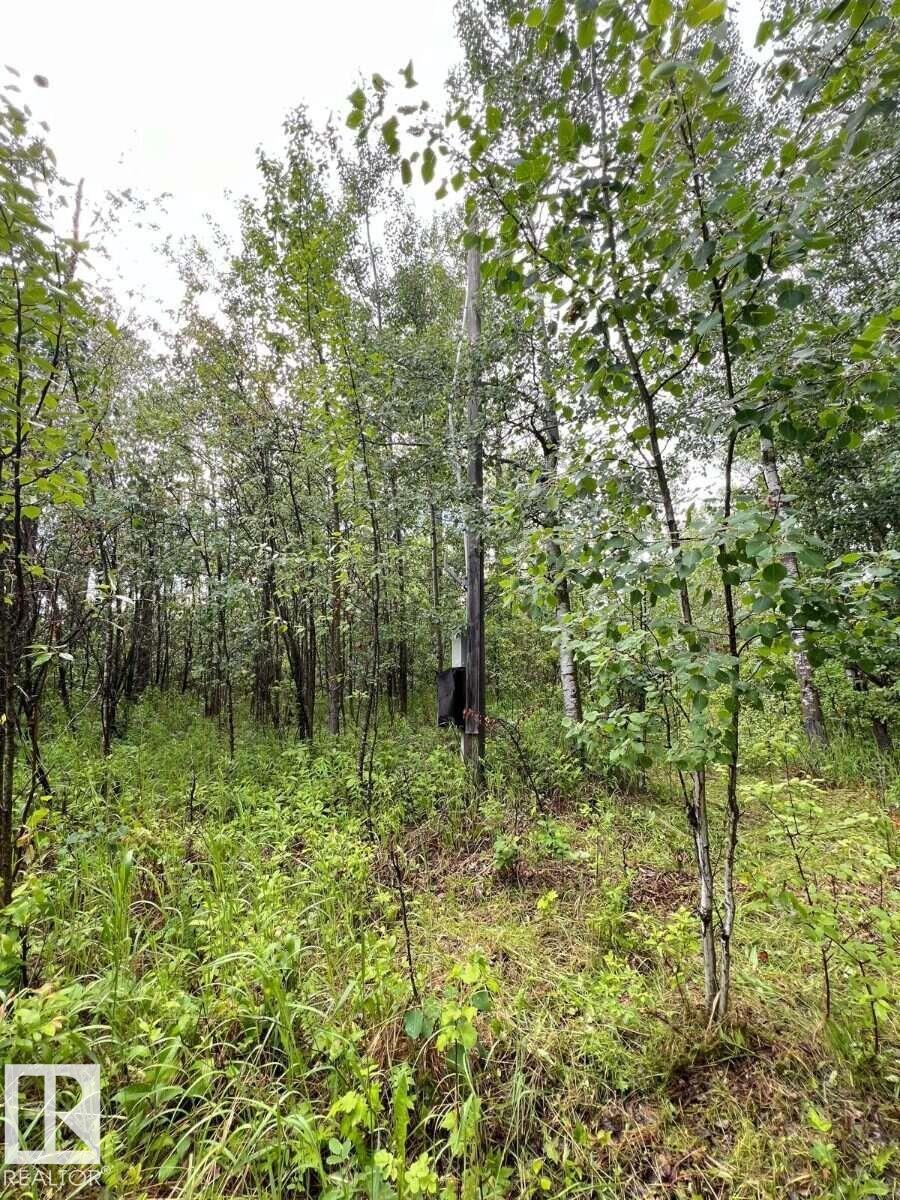 319 23229 Hwy 651 - Photo 10