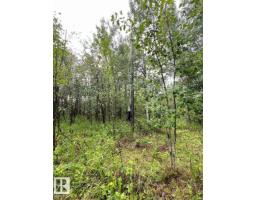 #319 23229 Hwy 651, Rural Sturgeon County, AB T0A2R0 Photo 10