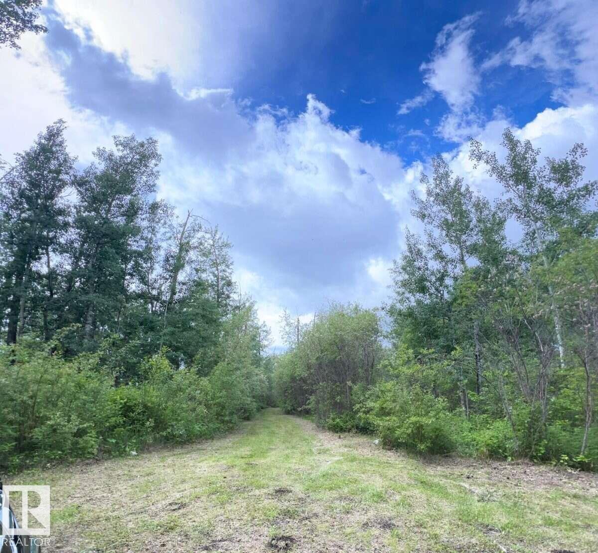 319 23229 Hwy 651 - Photo 5