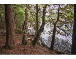 395 Ch. De La Montagne, Val Des Monts, QC J8N1B5 Photo 44