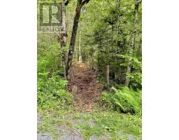 Lot 40 Cliff Road, New Russell, NS B0J2M0 Photo 6