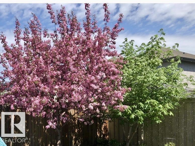 4015 ALEXANDER WY SW - 52