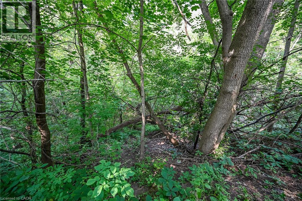 60 LOCKS Road - Image 39