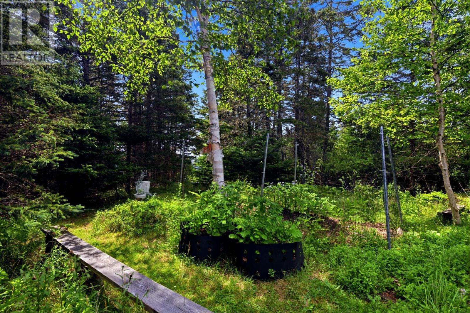 6864 St Margarets Bay Road - 30
