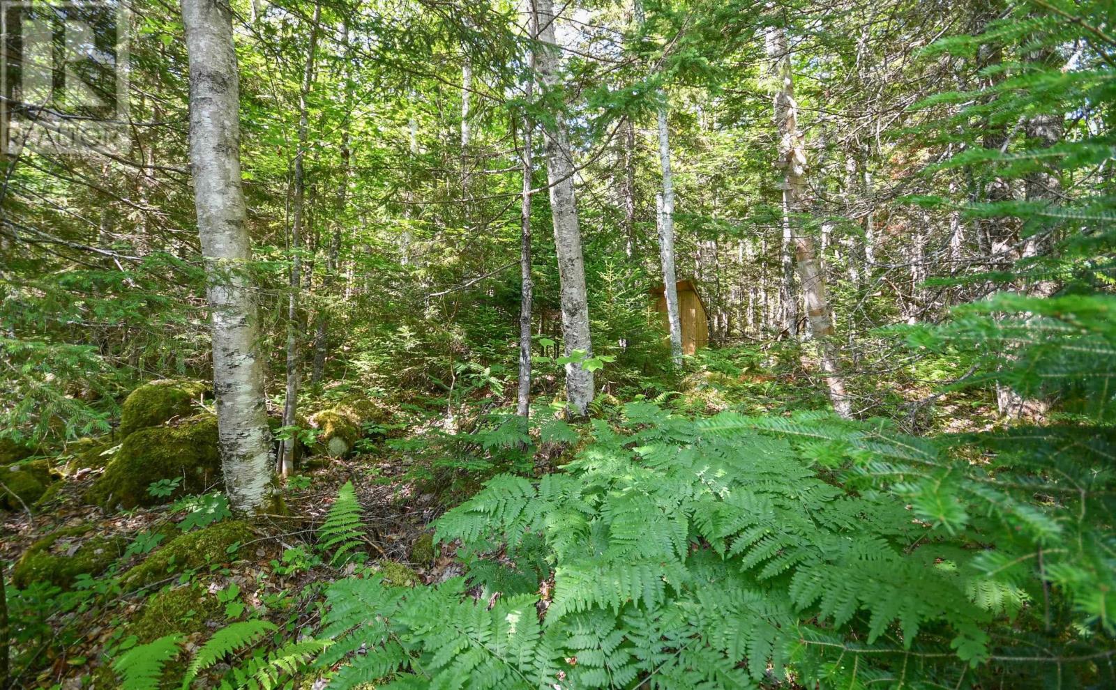 #69 FOREST HEIGHTS Drive - 31
