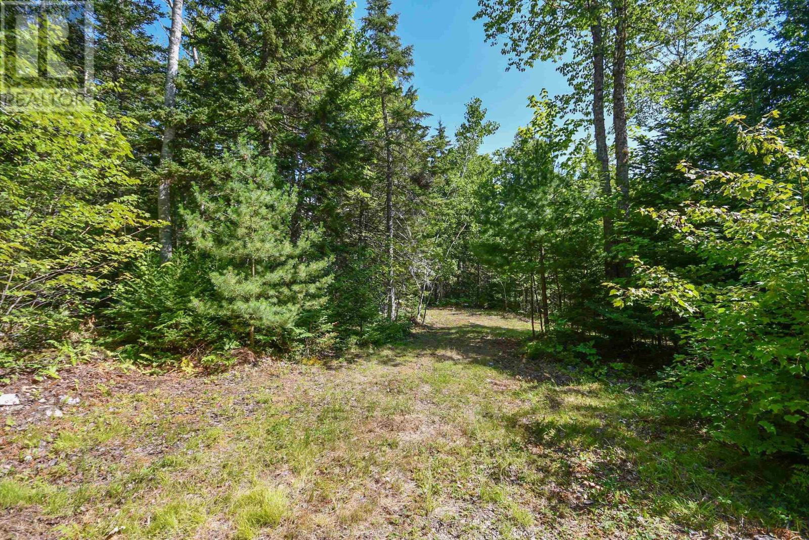 #69 FOREST HEIGHTS Drive - 38