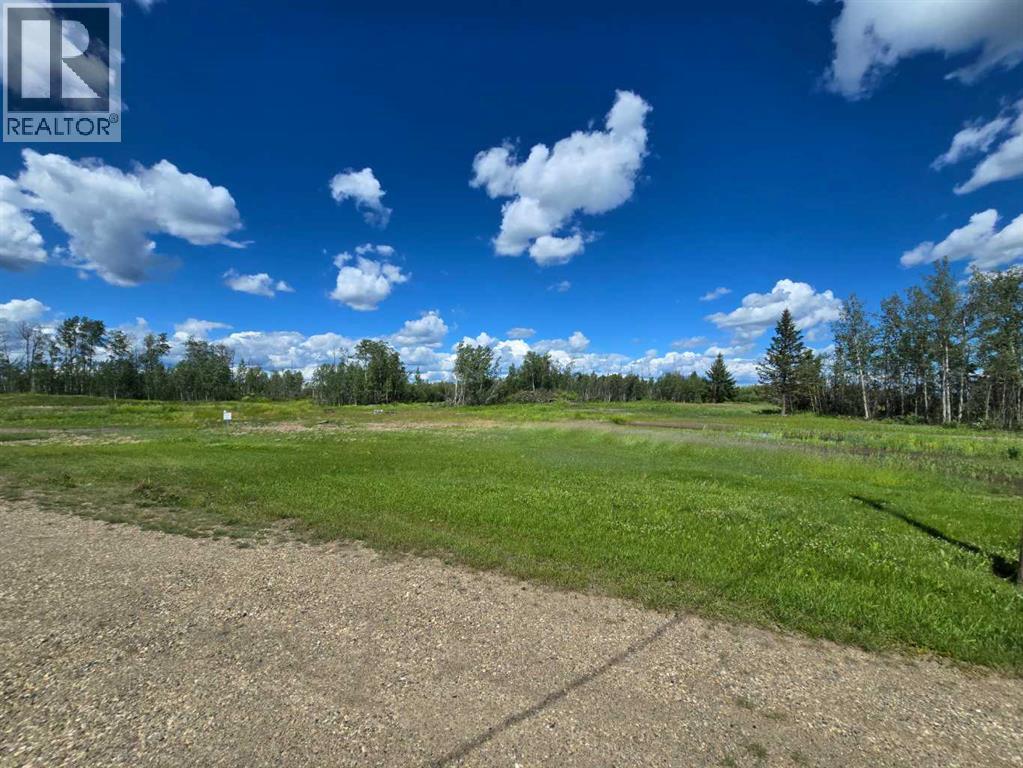 234044 Township Road 910 - Image 39